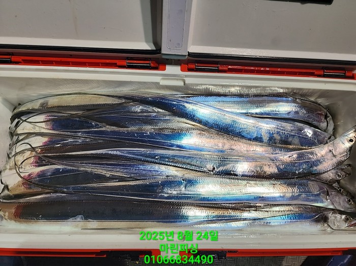 ab3d6fcf488c2a1ffb4b7d69f4bbc902_1755993205_3004.jpg ab3d6fcf488c2a1ffb4b7d69f4bbc902_1755993205_3004.jpg