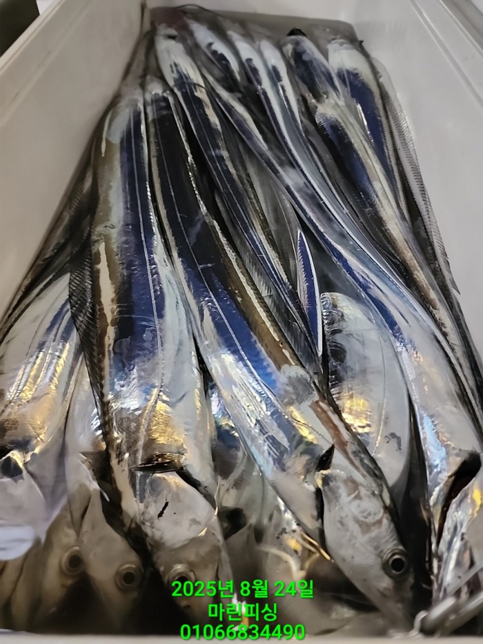 ab3d6fcf488c2a1ffb4b7d69f4bbc902_1755993206_4836.jpg ab3d6fcf488c2a1ffb4b7d69f4bbc902_1755993206_4836.jpg