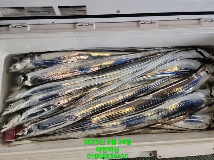 ab3d6fcf488c2a1ffb4b7d69f4bbc902_1755993207_9572.jpg ab3d6fcf488c2a1ffb4b7d69f4bbc902_1755993207_9572.jpg