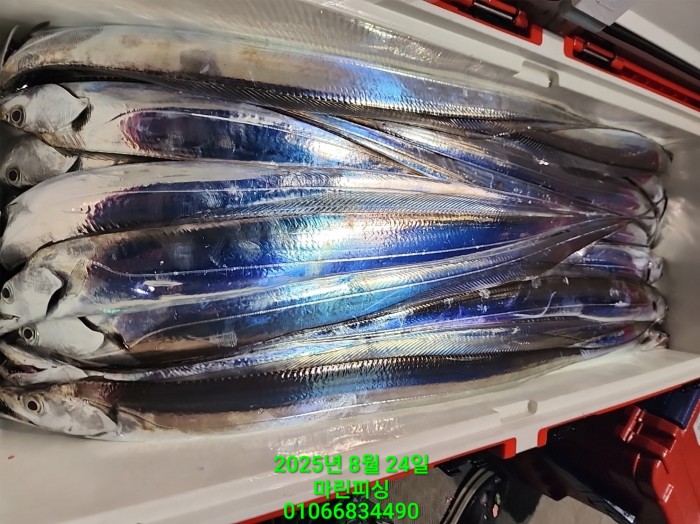 ab3d6fcf488c2a1ffb4b7d69f4bbc902_1755993209_4434.jpg ab3d6fcf488c2a1ffb4b7d69f4bbc902_1755993209_4434.jpg