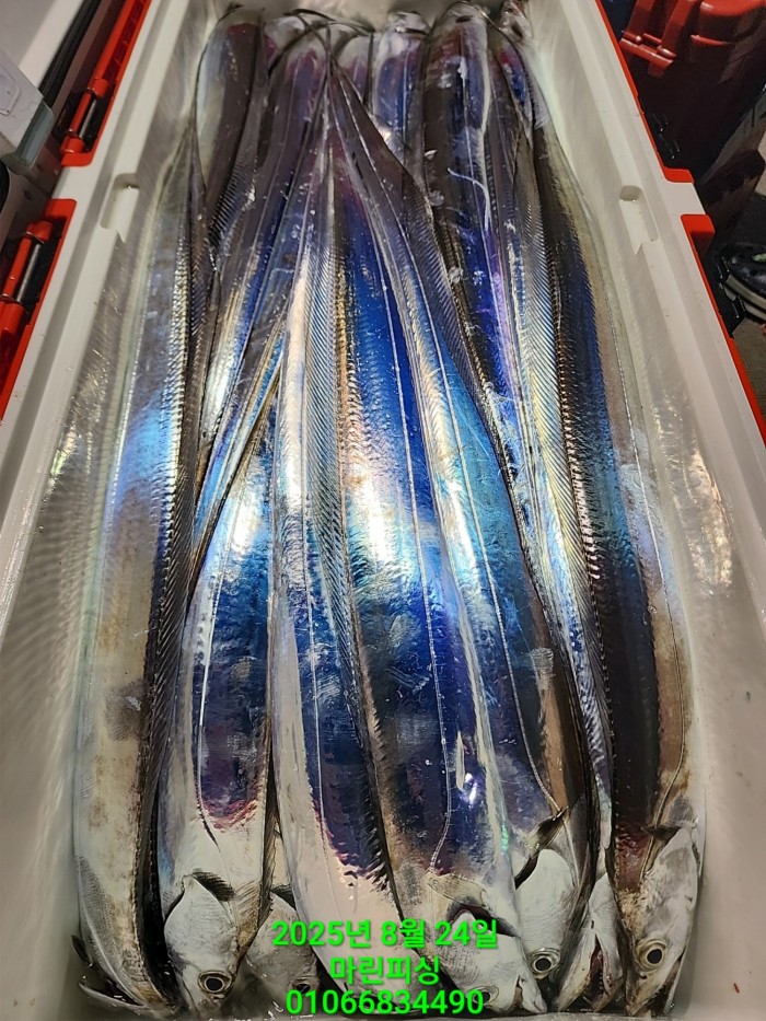 ab3d6fcf488c2a1ffb4b7d69f4bbc902_1755993211_0916.jpg ab3d6fcf488c2a1ffb4b7d69f4bbc902_1755993211_0916.jpg