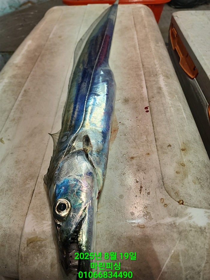 c3daf53f8f6631abb76c15772e71d631_1755560277_5564.jpg c3daf53f8f6631abb76c15772e71d631_1755560277_5564.jpg