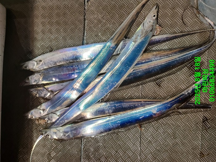 c3daf53f8f6631abb76c15772e71d631_1755560279_3414.jpg c3daf53f8f6631abb76c15772e71d631_1755560279_3414.jpg