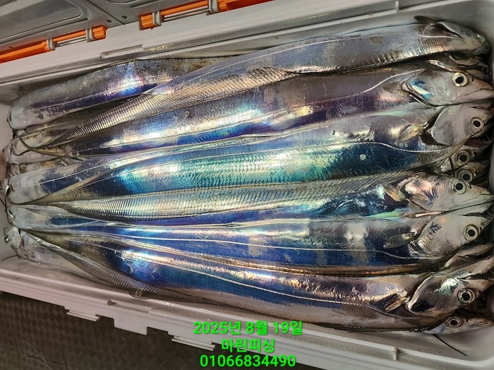 c3daf53f8f6631abb76c15772e71d631_1755560281_1385.jpg c3daf53f8f6631abb76c15772e71d631_1755560281_1385.jpg