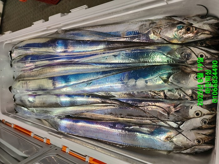 c3daf53f8f6631abb76c15772e71d631_1755560282_9727.jpg c3daf53f8f6631abb76c15772e71d631_1755560282_9727.jpg