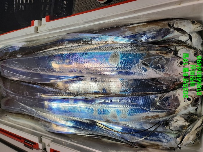 c3daf53f8f6631abb76c15772e71d631_1755560284_7235.jpg c3daf53f8f6631abb76c15772e71d631_1755560284_7235.jpg