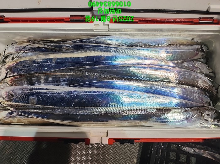 c3daf53f8f6631abb76c15772e71d631_1755560286_4711.jpg c3daf53f8f6631abb76c15772e71d631_1755560286_4711.jpg