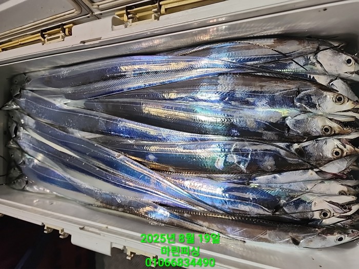 c3daf53f8f6631abb76c15772e71d631_1755560288_1862.jpg c3daf53f8f6631abb76c15772e71d631_1755560288_1862.jpg