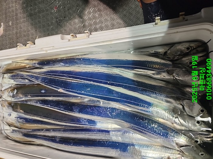 c3daf53f8f6631abb76c15772e71d631_1755560290_0669.jpg c3daf53f8f6631abb76c15772e71d631_1755560290_0669.jpg