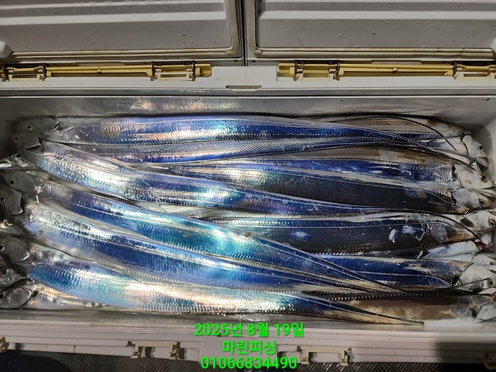 c3daf53f8f6631abb76c15772e71d631_1755560291_6892.jpg c3daf53f8f6631abb76c15772e71d631_1755560291_6892.jpg