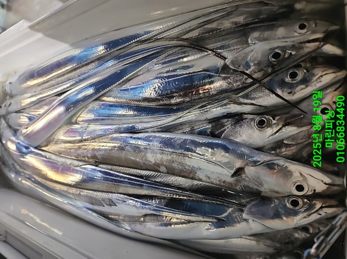 c3daf53f8f6631abb76c15772e71d631_1755560293_0781.jpg c3daf53f8f6631abb76c15772e71d631_1755560293_0781.jpg