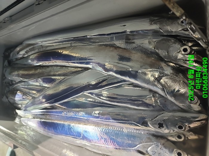 c3daf53f8f6631abb76c15772e71d631_1755560294_4491.jpg c3daf53f8f6631abb76c15772e71d631_1755560294_4491.jpg