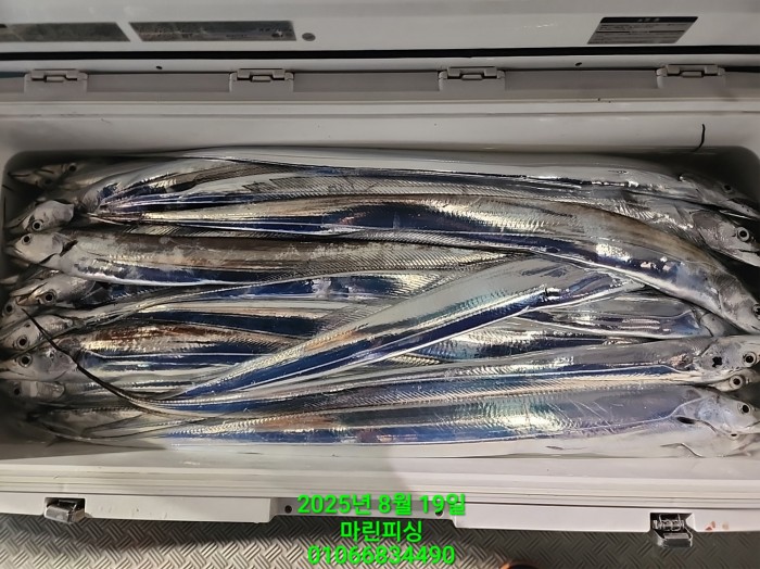 c3daf53f8f6631abb76c15772e71d631_1755560296_3669.jpg c3daf53f8f6631abb76c15772e71d631_1755560296_3669.jpg