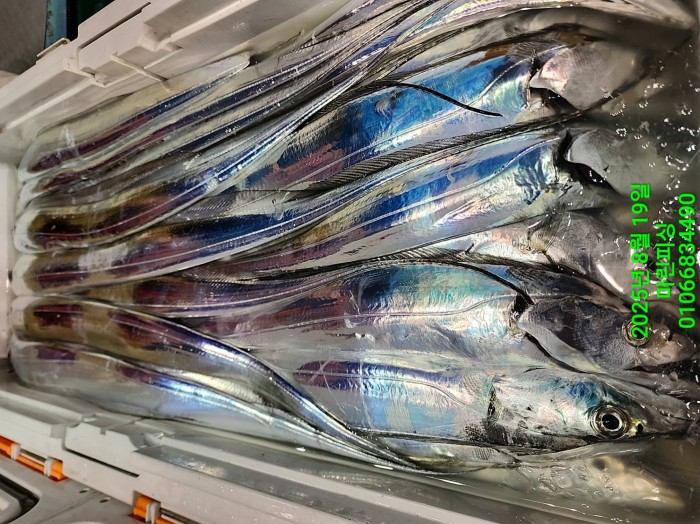 c3daf53f8f6631abb76c15772e71d631_1755560298_8765.jpg c3daf53f8f6631abb76c15772e71d631_1755560298_8765.jpg