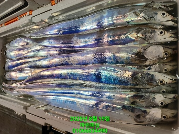 c3daf53f8f6631abb76c15772e71d631_1755560300_7458.jpg c3daf53f8f6631abb76c15772e71d631_1755560300_7458.jpg