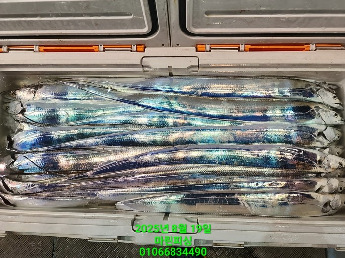 c3daf53f8f6631abb76c15772e71d631_1755560302_6105.jpg c3daf53f8f6631abb76c15772e71d631_1755560302_6105.jpg