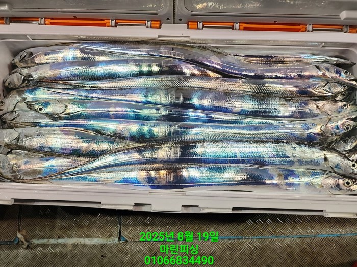 c3daf53f8f6631abb76c15772e71d631_1755560304_6073.jpg c3daf53f8f6631abb76c15772e71d631_1755560304_6073.jpg