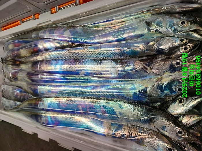 c3daf53f8f6631abb76c15772e71d631_1755560306_4972.jpg c3daf53f8f6631abb76c15772e71d631_1755560306_4972.jpg