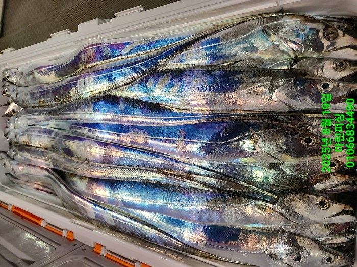 c3daf53f8f6631abb76c15772e71d631_1755560308_3556.jpg c3daf53f8f6631abb76c15772e71d631_1755560308_3556.jpg