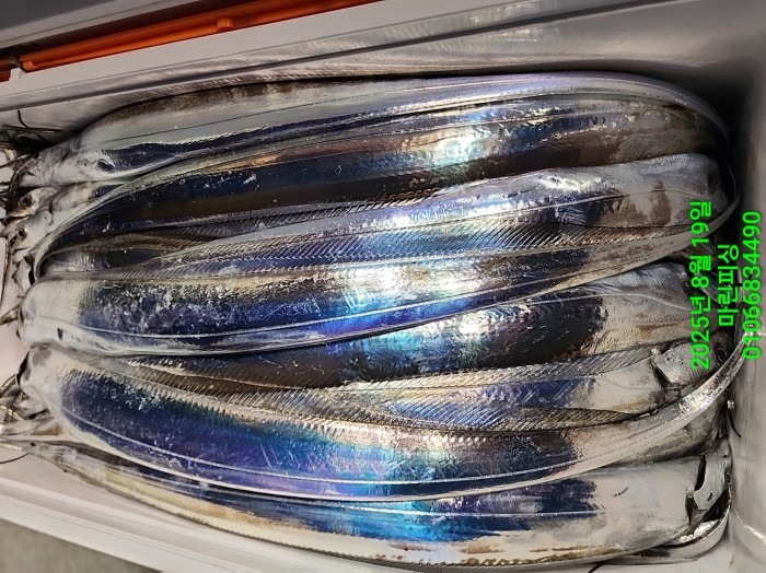 c3daf53f8f6631abb76c15772e71d631_1755560310_1984.jpg c3daf53f8f6631abb76c15772e71d631_1755560310_1984.jpg