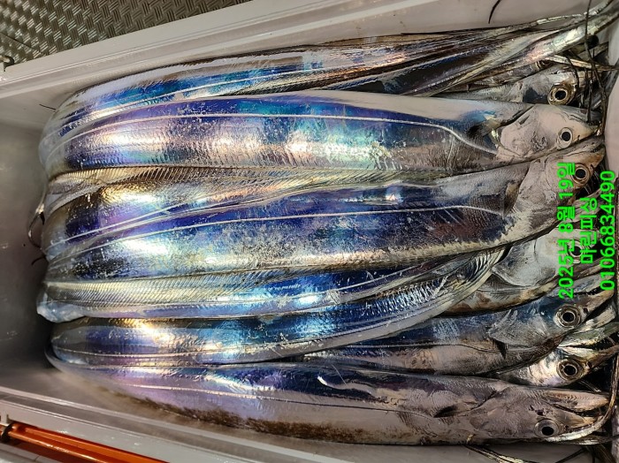 c3daf53f8f6631abb76c15772e71d631_1755560312_1099.jpg c3daf53f8f6631abb76c15772e71d631_1755560312_1099.jpg