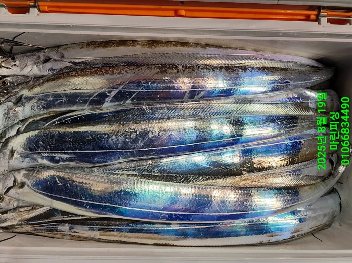 c3daf53f8f6631abb76c15772e71d631_1755560313_9367.jpg c3daf53f8f6631abb76c15772e71d631_1755560313_9367.jpg