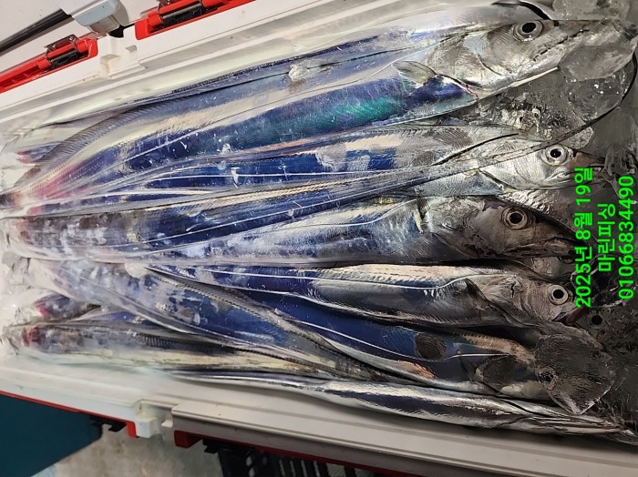 c3daf53f8f6631abb76c15772e71d631_1755560315_5991.jpg c3daf53f8f6631abb76c15772e71d631_1755560315_5991.jpg