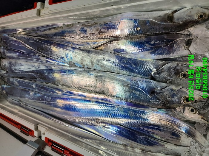 c3daf53f8f6631abb76c15772e71d631_1755560317_3874.jpg c3daf53f8f6631abb76c15772e71d631_1755560317_3874.jpg