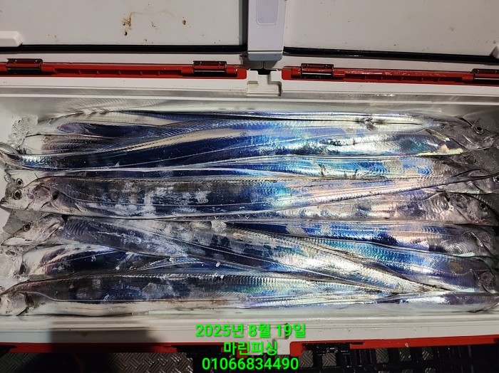 c3daf53f8f6631abb76c15772e71d631_1755560319_1224.jpg c3daf53f8f6631abb76c15772e71d631_1755560319_1224.jpg