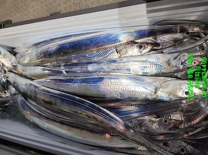 c3daf53f8f6631abb76c15772e71d631_1755560321_0799.jpg c3daf53f8f6631abb76c15772e71d631_1755560321_0799.jpg