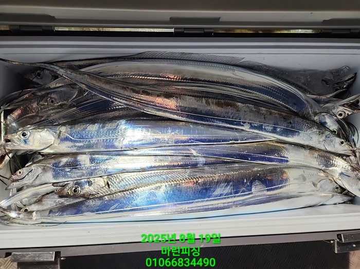 c3daf53f8f6631abb76c15772e71d631_1755560322_6499.jpg c3daf53f8f6631abb76c15772e71d631_1755560322_6499.jpg