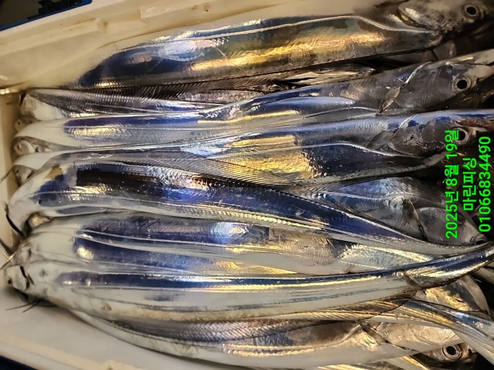 c3daf53f8f6631abb76c15772e71d631_1755560324_135.jpg c3daf53f8f6631abb76c15772e71d631_1755560324_135.jpg