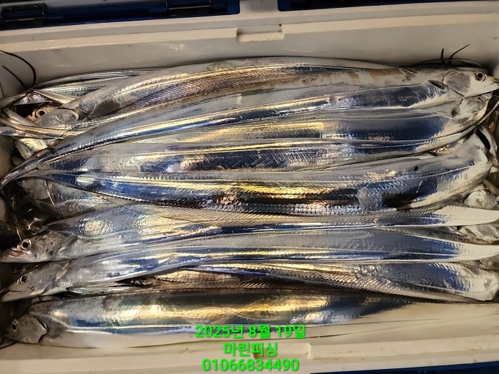 c3daf53f8f6631abb76c15772e71d631_1755560326_2523.jpg c3daf53f8f6631abb76c15772e71d631_1755560326_2523.jpg