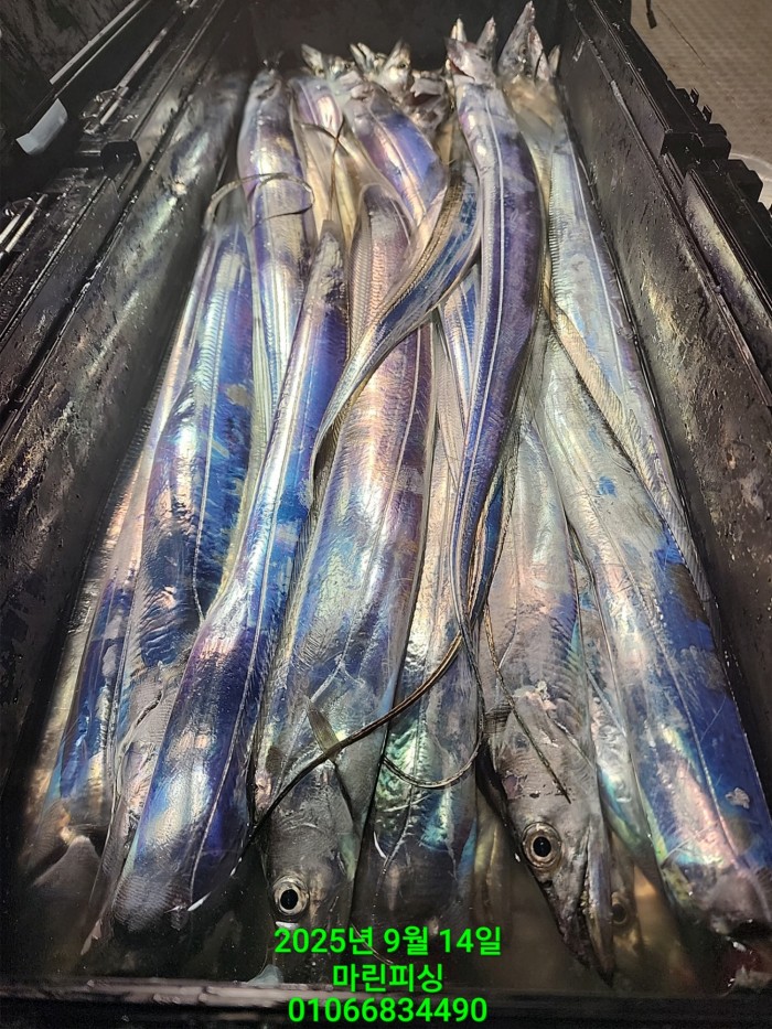 173e9b8ce8e97ad79ca74e25491092f8_1757808554_3007.jpg 173e9b8ce8e97ad79ca74e25491092f8_1757808554_3007.jpg