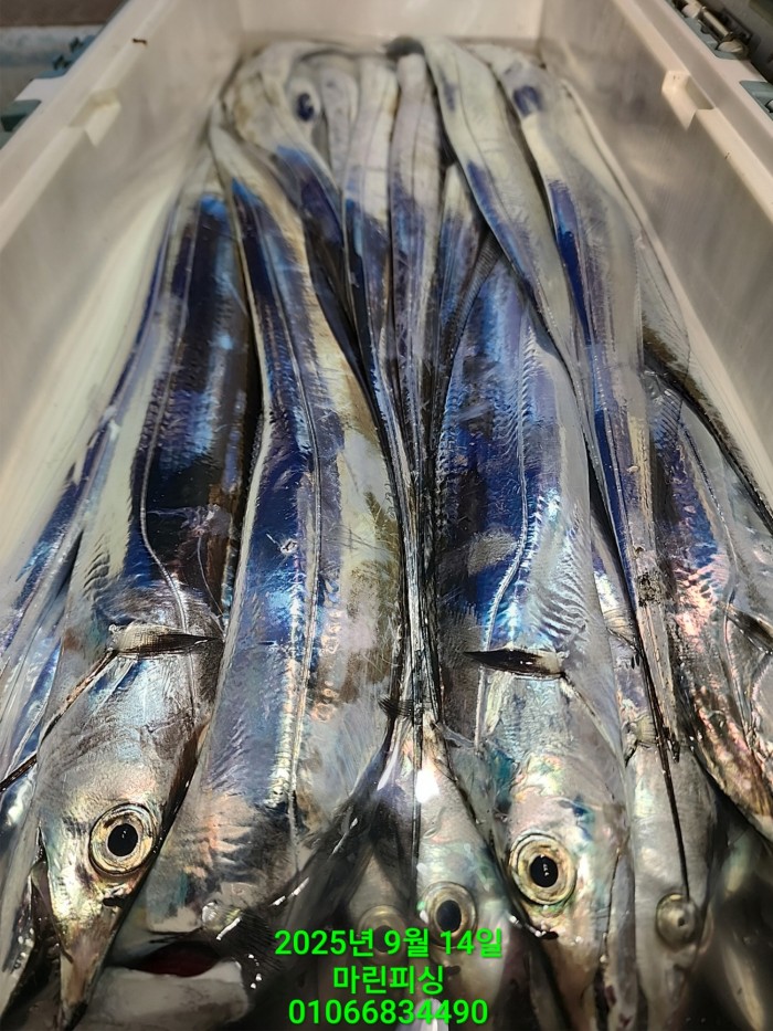 173e9b8ce8e97ad79ca74e25491092f8_1757808555_8733.jpg 173e9b8ce8e97ad79ca74e25491092f8_1757808555_8733.jpg