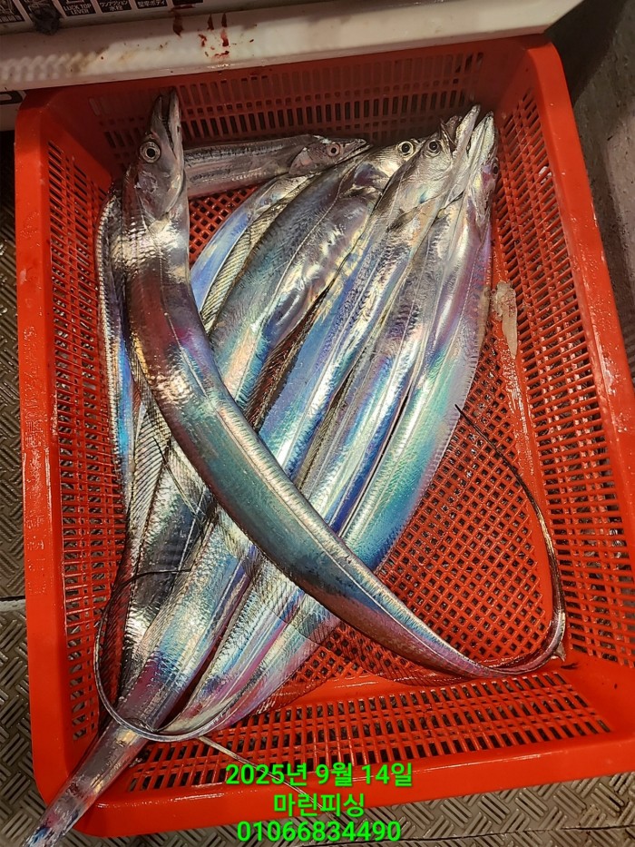 173e9b8ce8e97ad79ca74e25491092f8_1757808558_0116.jpg 173e9b8ce8e97ad79ca74e25491092f8_1757808558_0116.jpg