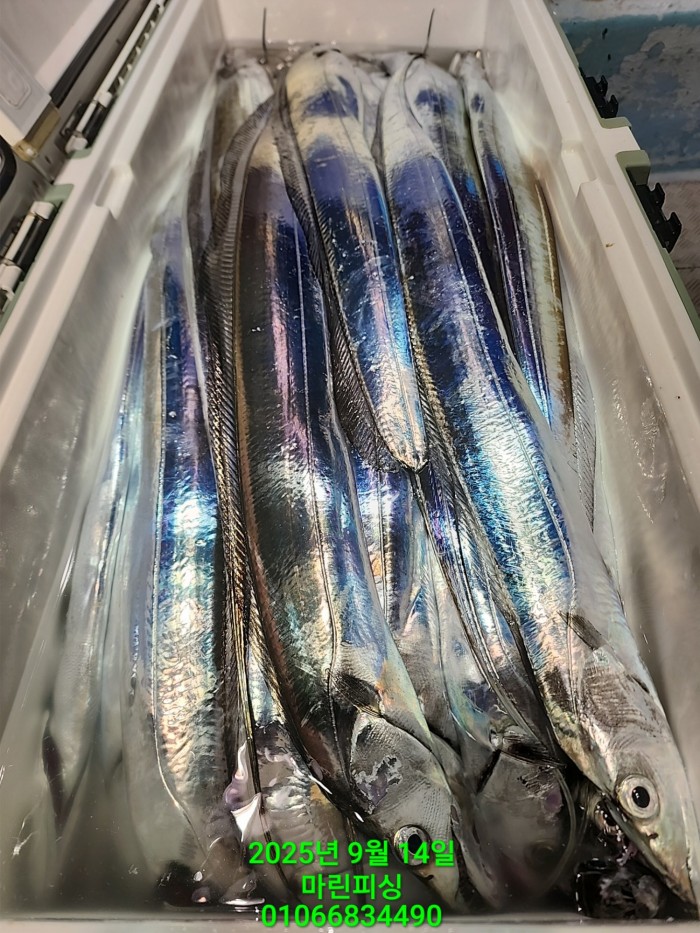 173e9b8ce8e97ad79ca74e25491092f8_1757808559_6662.jpg 173e9b8ce8e97ad79ca74e25491092f8_1757808559_6662.jpg