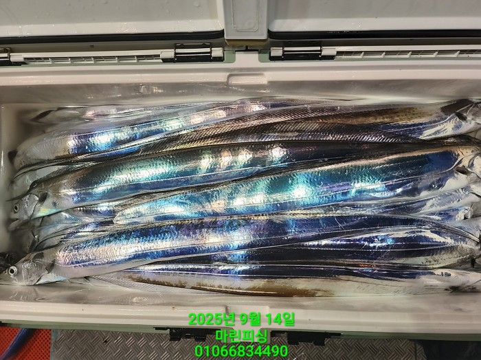 173e9b8ce8e97ad79ca74e25491092f8_1757808561_452.jpg 173e9b8ce8e97ad79ca74e25491092f8_1757808561_452.jpg