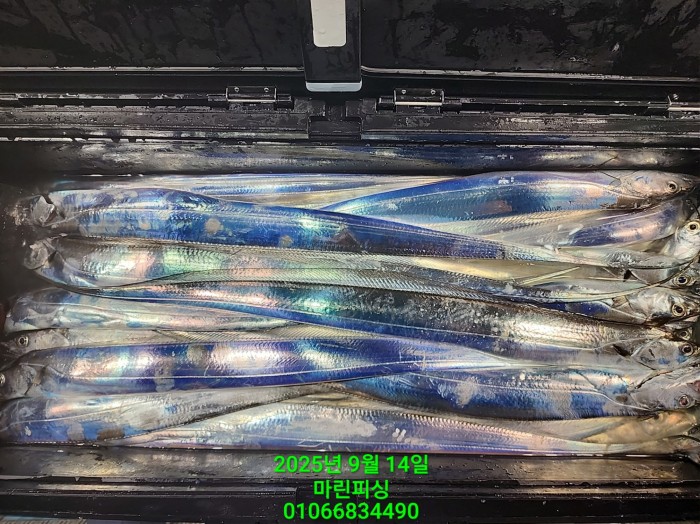 173e9b8ce8e97ad79ca74e25491092f8_1757808563_1637.jpg 173e9b8ce8e97ad79ca74e25491092f8_1757808563_1637.jpg