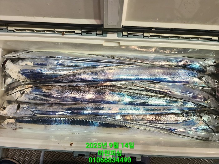 173e9b8ce8e97ad79ca74e25491092f8_1757808564_8846.jpg 173e9b8ce8e97ad79ca74e25491092f8_1757808564_8846.jpg