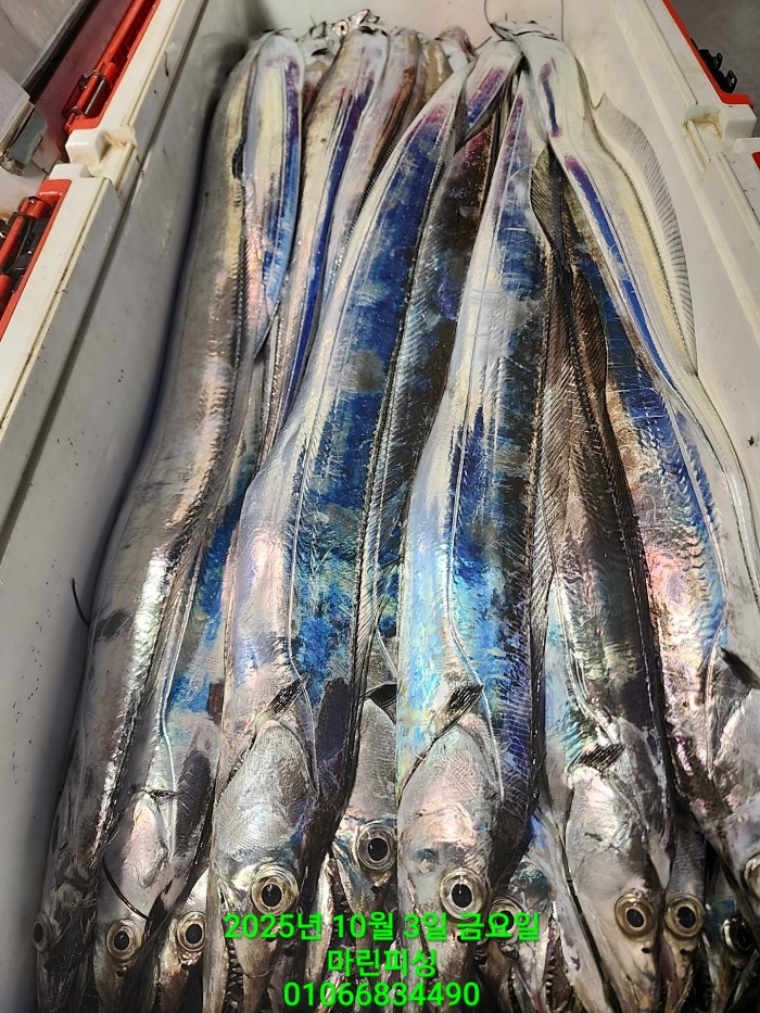 1126a4d9e0854d7a974ef2572dda9e1e_1759462767_881.jpg 1126a4d9e0854d7a974ef2572dda9e1e_1759462767_881.jpg