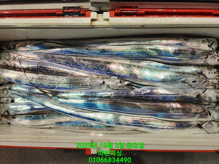 1126a4d9e0854d7a974ef2572dda9e1e_1759462769_7125.jpg 1126a4d9e0854d7a974ef2572dda9e1e_1759462769_7125.jpg