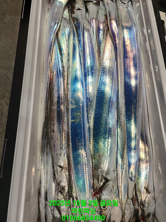 1126a4d9e0854d7a974ef2572dda9e1e_1759462770_8271.jpg 1126a4d9e0854d7a974ef2572dda9e1e_1759462770_8271.jpg