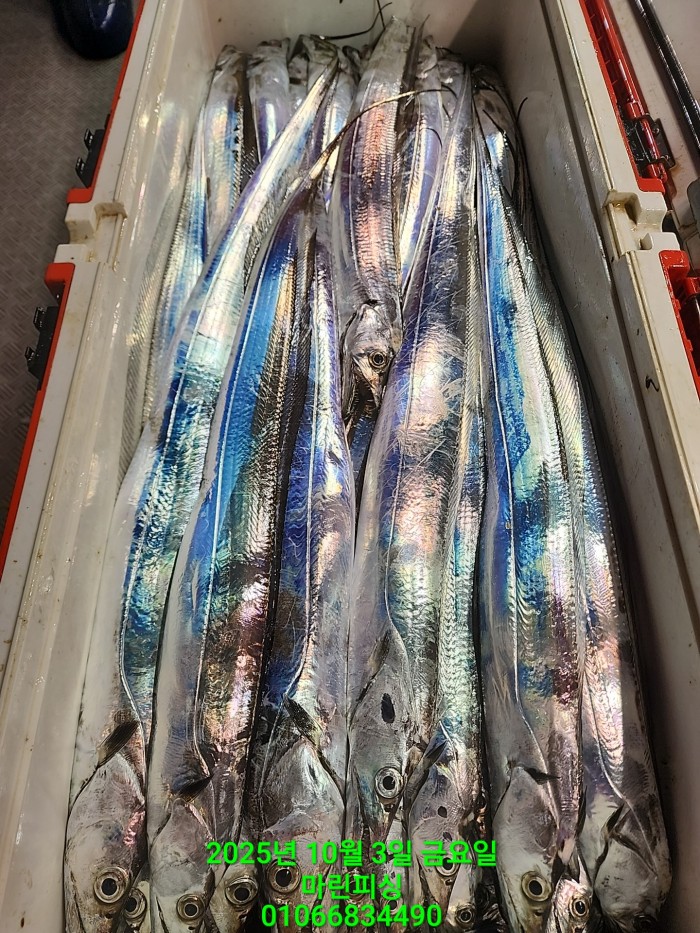 1126a4d9e0854d7a974ef2572dda9e1e_1759462772_3561.jpg 1126a4d9e0854d7a974ef2572dda9e1e_1759462772_3561.jpg