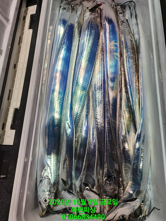 1126a4d9e0854d7a974ef2572dda9e1e_1759462773_5992.jpg 1126a4d9e0854d7a974ef2572dda9e1e_1759462773_5992.jpg