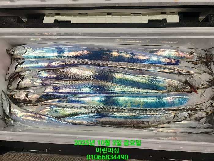 1126a4d9e0854d7a974ef2572dda9e1e_1759462774_713.jpg 1126a4d9e0854d7a974ef2572dda9e1e_1759462774_713.jpg