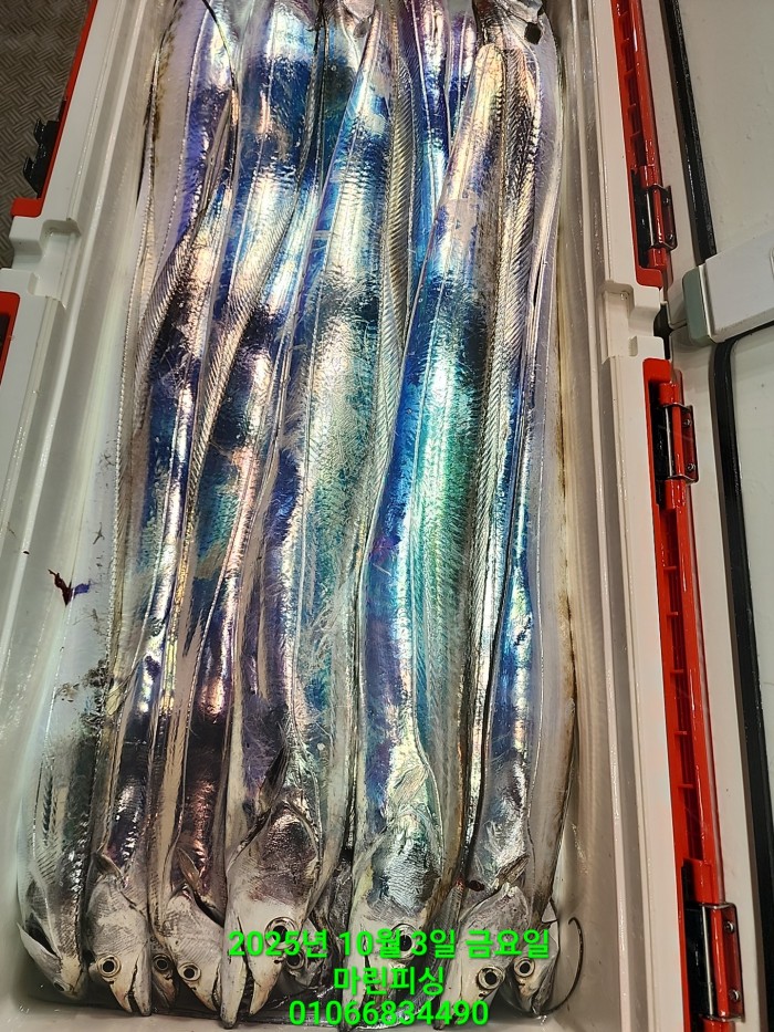 1126a4d9e0854d7a974ef2572dda9e1e_1759462775_888.jpg 1126a4d9e0854d7a974ef2572dda9e1e_1759462775_888.jpg