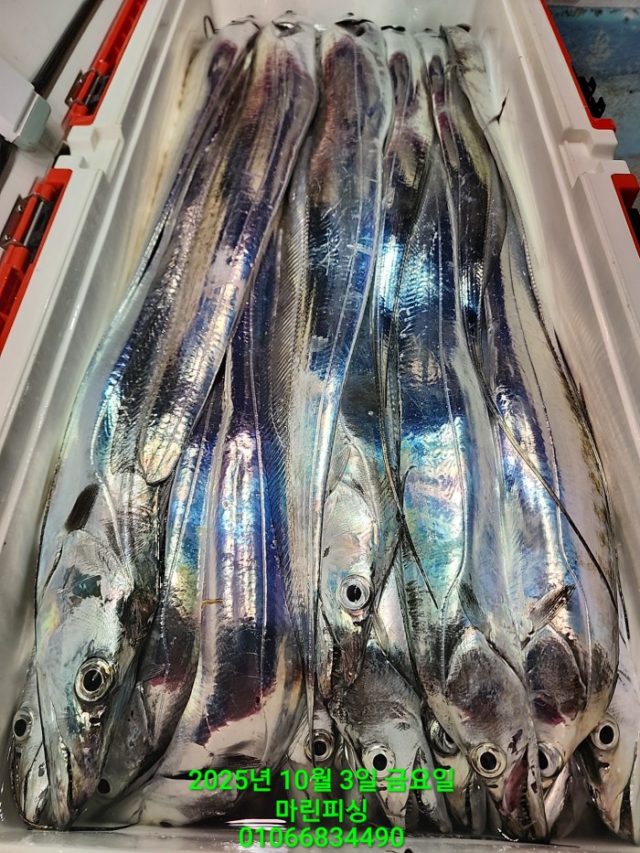 1126a4d9e0854d7a974ef2572dda9e1e_1759462777_3854.jpg 1126a4d9e0854d7a974ef2572dda9e1e_1759462777_3854.jpg