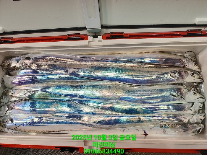 1126a4d9e0854d7a974ef2572dda9e1e_1759462778_6113.jpg 1126a4d9e0854d7a974ef2572dda9e1e_1759462778_6113.jpg