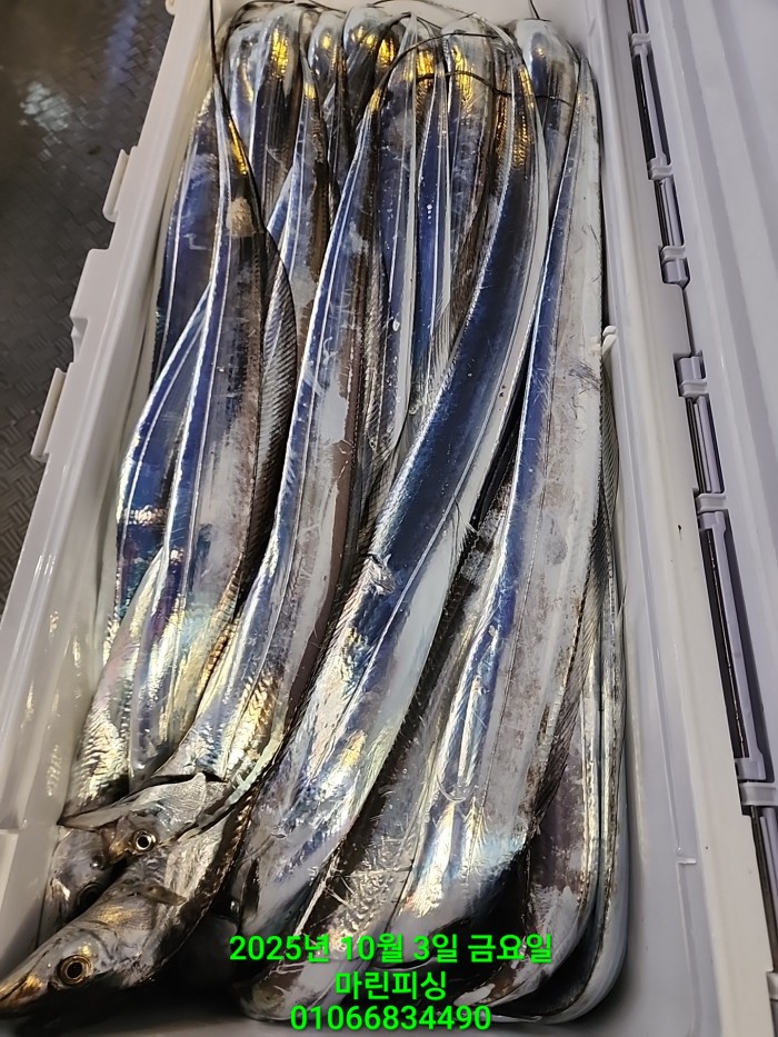 1126a4d9e0854d7a974ef2572dda9e1e_1759462780_176.jpg 1126a4d9e0854d7a974ef2572dda9e1e_1759462780_176.jpg